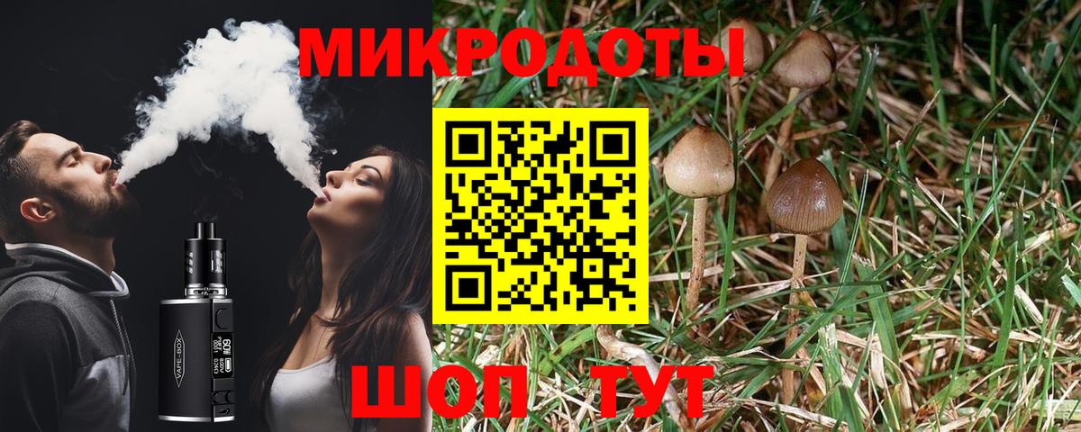 Псилоцибиновые грибы Cubensis  Вход с VPN  Благодарный 